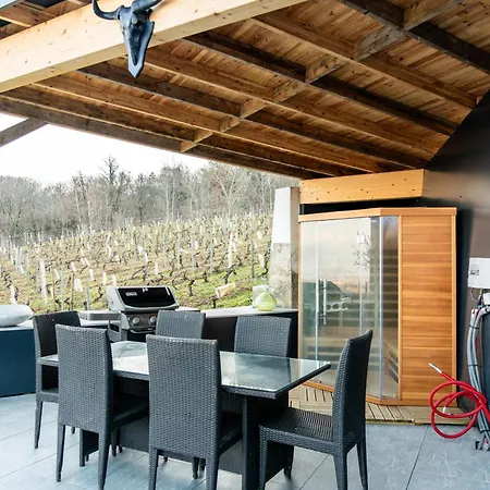 Maison 4 Avec Jaccuzi Piscine Privee Et Sauna * Apremont (Savoie)
