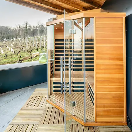 Maison 4 Avec Jaccuzi Piscine Privee Et Sauna Villa Apremont (Savoie)