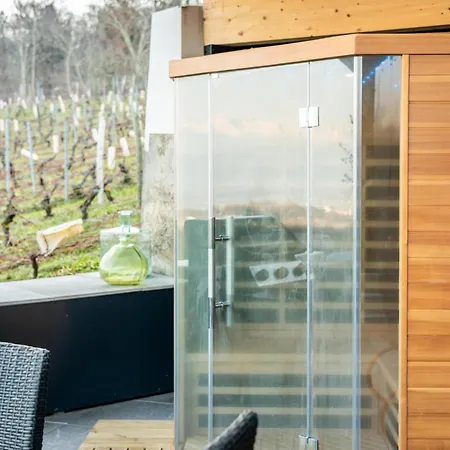 Maison 4 Avec Jaccuzi Piscine Privee Et Sauna Villa